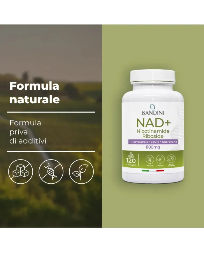 NAD+ Liposomiale - 120 Capsule
